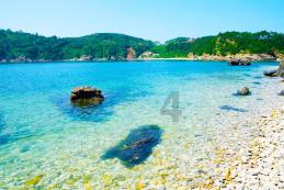美妙夏季拼图
